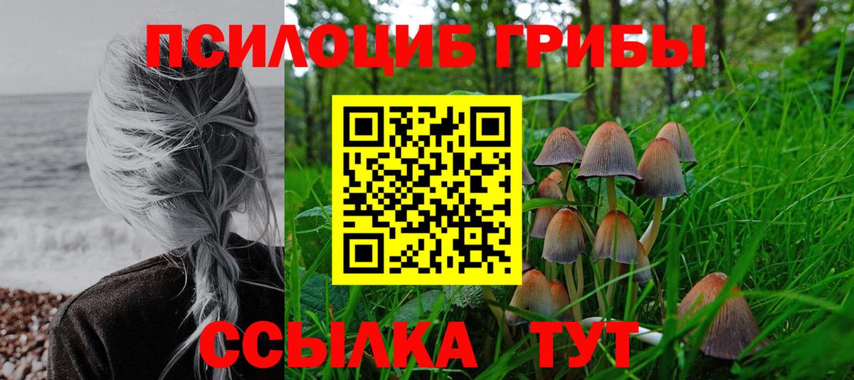 купить  цена  Галлюциногенные грибы GOLDEN TEACHER  Вход с VPN  Галлюциногенные грибы ЛСД  Александров 