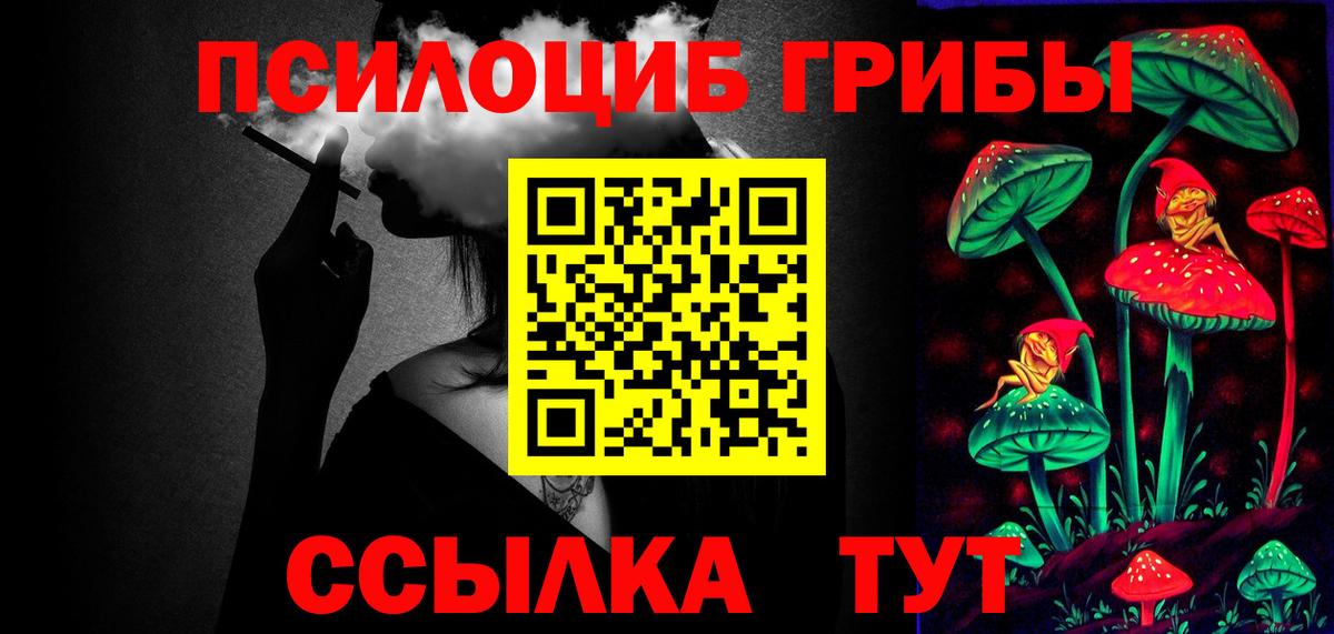 Псилоцибиновые грибы Psilocybine cubensis Александров
